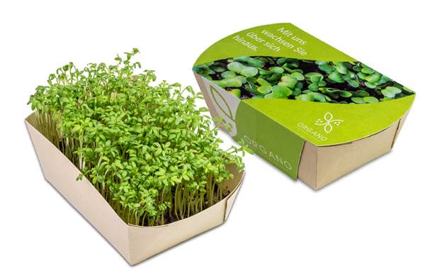 Microgreens-Gärtchen