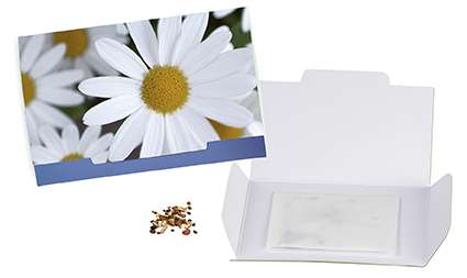 Flower-Card mit Samen