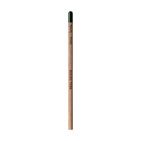 Sproutworld Unsharpened Pencil Bleisstift ungespitzt