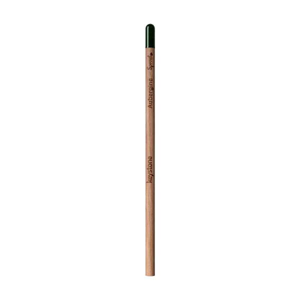 Sproutworld Unsharpened Pencil Bleisstift ungespitzt