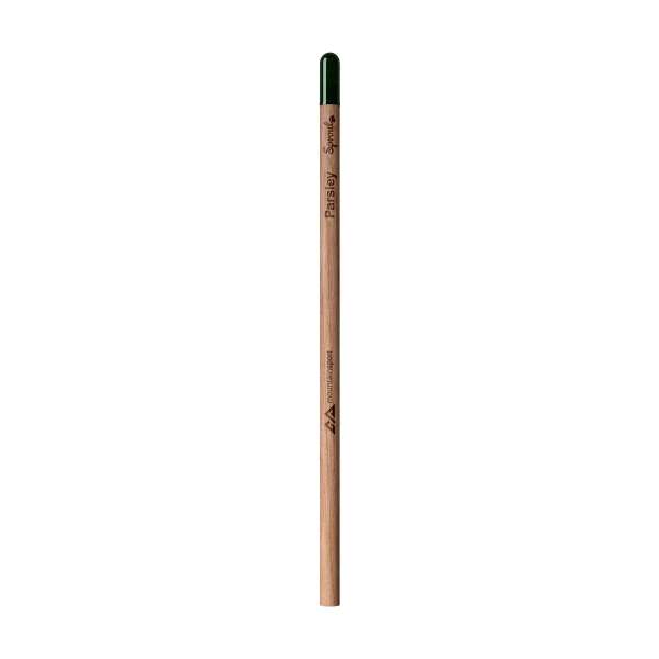 Sproutworld Unsharpened Pencil Bleisstift ungespitzt