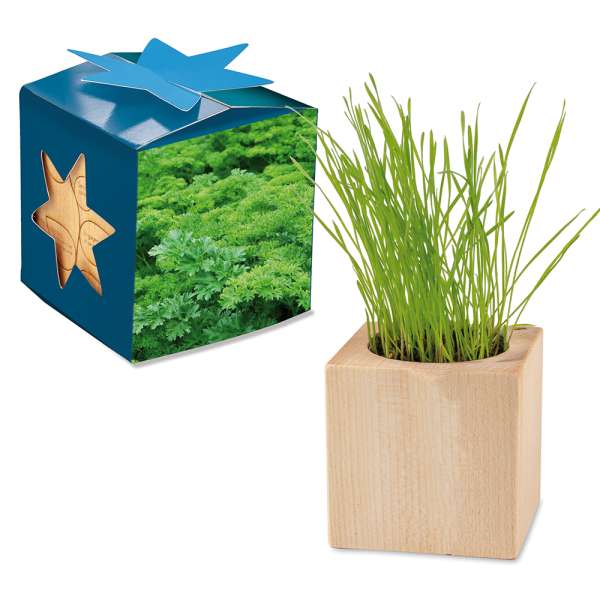 Pflanz-Holz Maxi Star-Box mit Samen