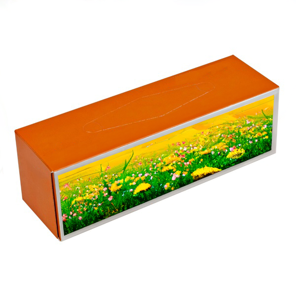 Tissue Taschentuch Box 175 x 55 x 55 mm