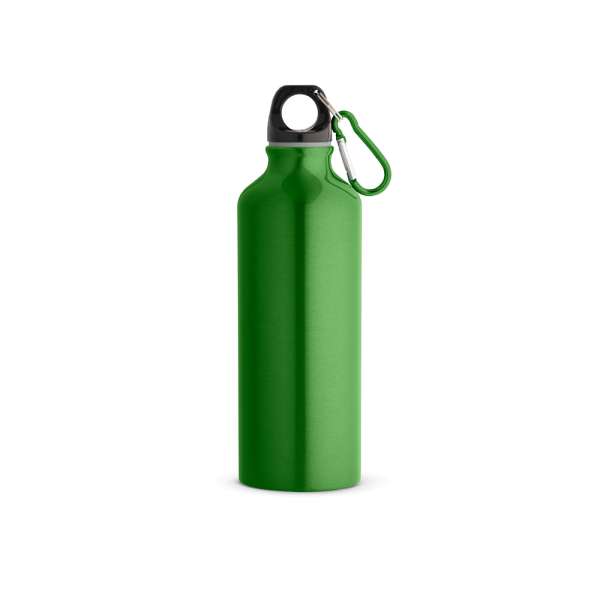 RE-LANDSCAPE M Flasche aus recyceltem Aluminium 530 mL mit Karabiner