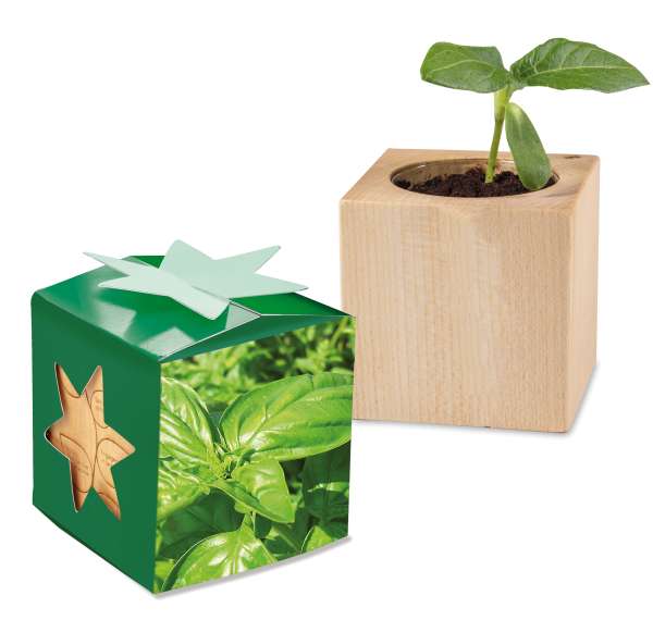 Pflanz-Holz Star-Box mit Samen