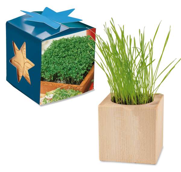 Pflanz-Holz Maxi Star-Box mit Samen