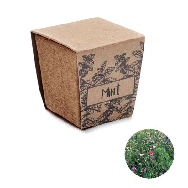 Pflanz-Set Minze MINT KIT