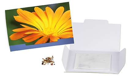 Flower-Card mit Samen