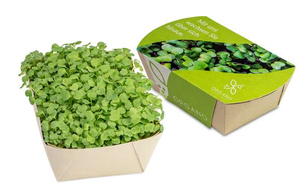 Microgreens-Gärtchen